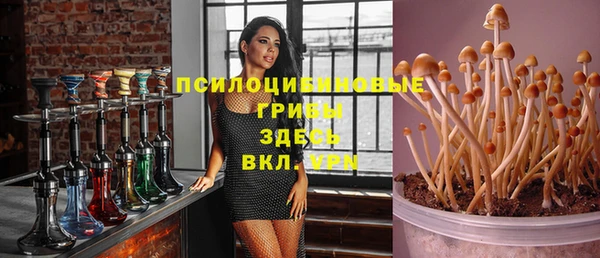 ALPHA-PVP Армянск