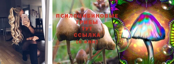 герыч Алексин